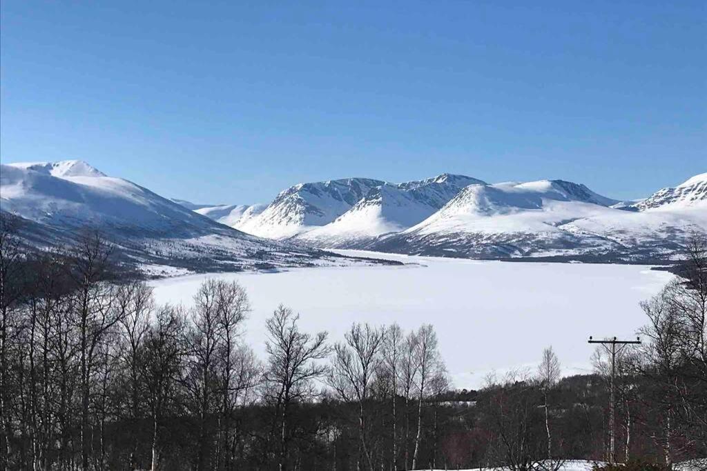 Fjellro Mountain Cabin 옵달 외부 사진