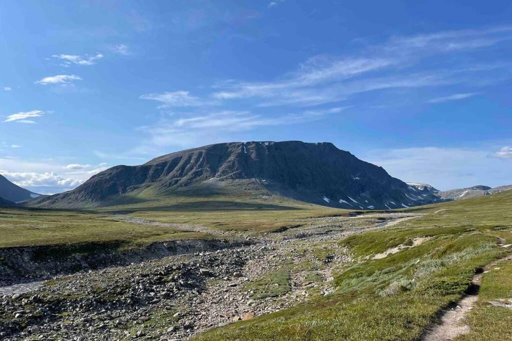 Fjellro Mountain Cabin 옵달 외부 사진