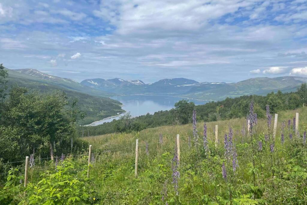 Fjellro Mountain Cabin 옵달 외부 사진
