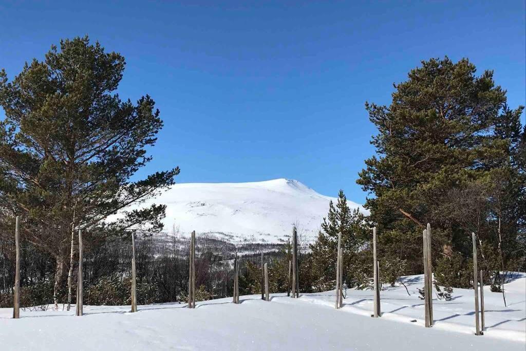 Fjellro Mountain Cabin 옵달 외부 사진
