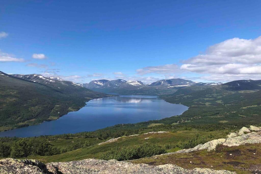 Fjellro Mountain Cabin 옵달 외부 사진