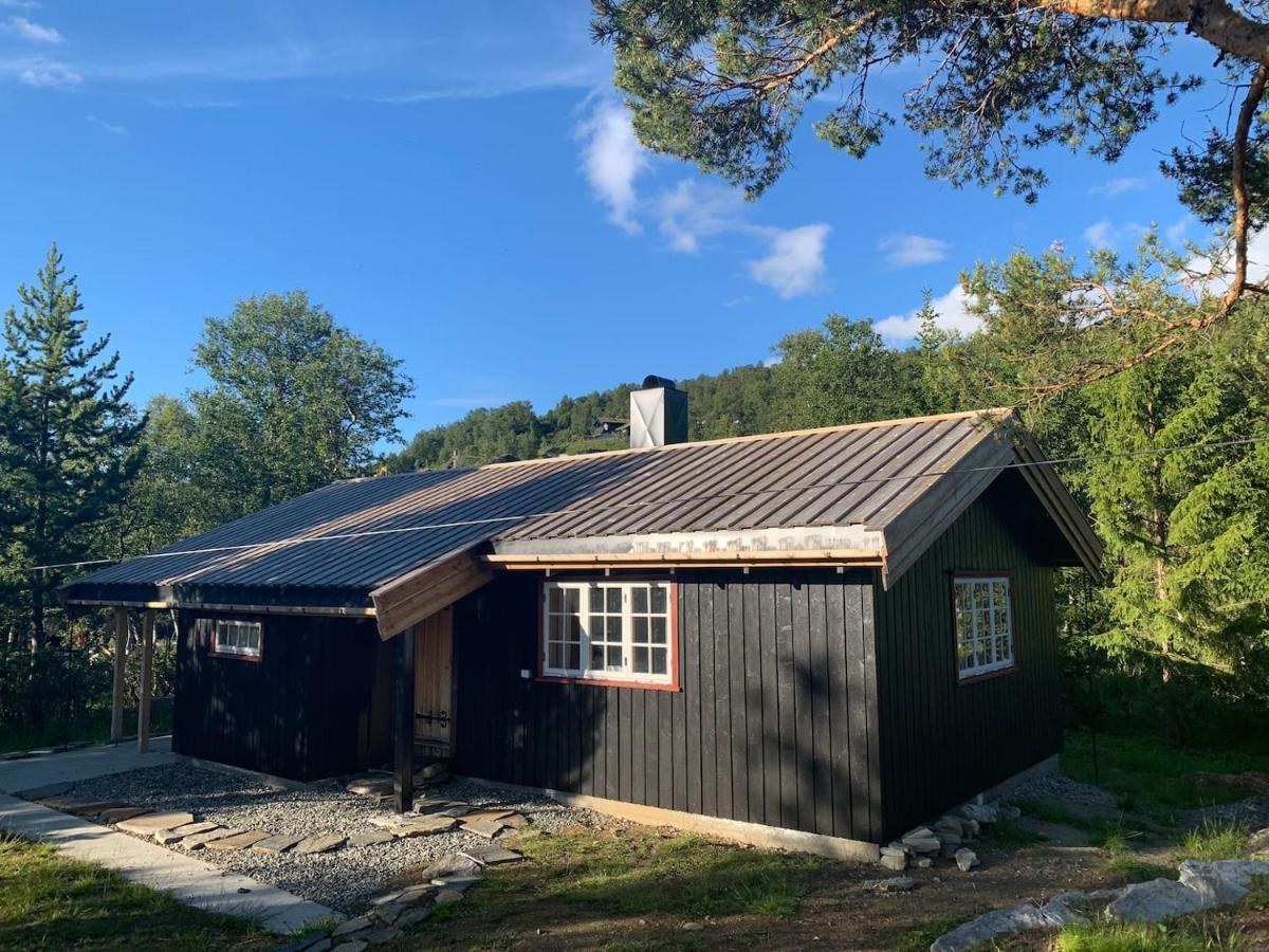 Fjellro Mountain Cabin 옵달 외부 사진
